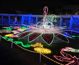 201213�ʤ�Хѡ�����2