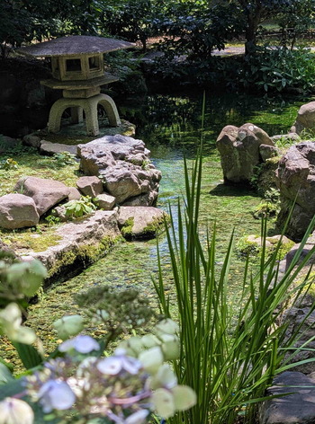 260709京都御苑4