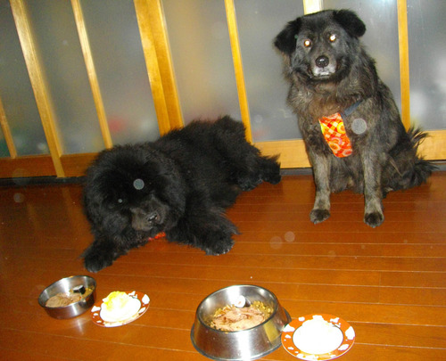 130122�ॵ2��ǯ1