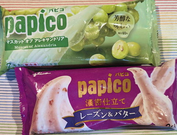240722パピコマスカット・ラムレーズン