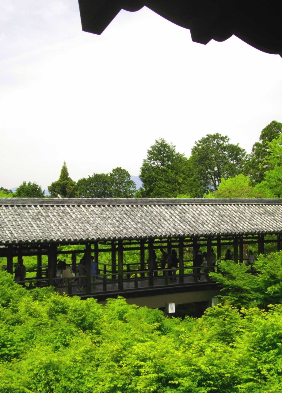 新緑の紅葉も艶やかな東福寺 京都町家ぐらし 新緑の紅葉も艶やかな東福寺 京都町家ぐらし