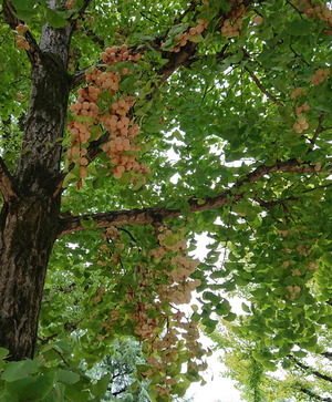 230903�Ļ�����Į5