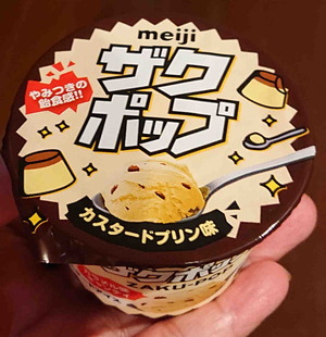 230623ザクポップ