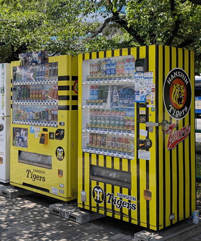 250629甲子園1