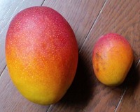 090623�ޥ�2