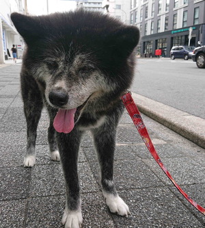 230818�Ԥ�������3