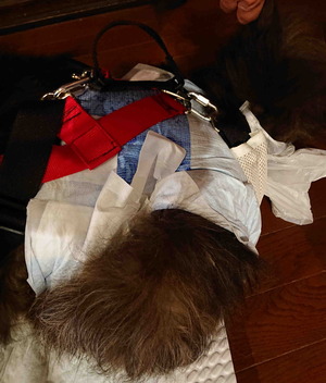 210824����ĥॵ2