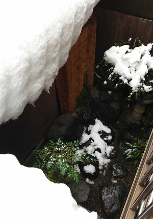 150102雪の正月2