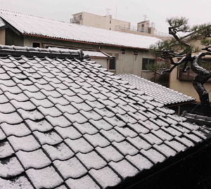 201231�ޤ���