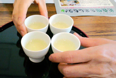 110508茶摘み21