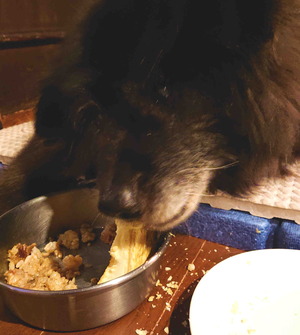 220122�ॵ12��ǯ9