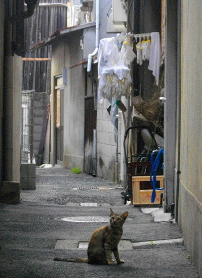 130906岸和田44