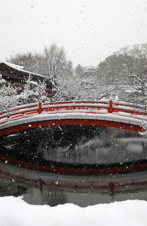 170115雪の神泉苑3