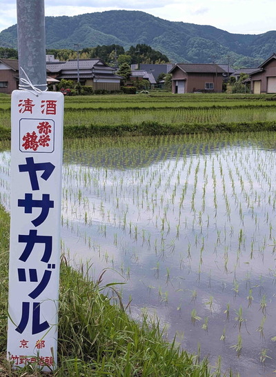 260523¥¿¥ó¥¿¥ó1