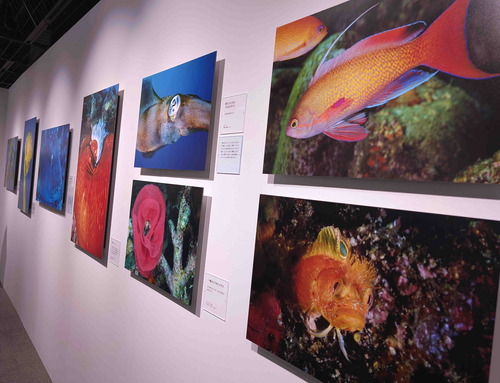 250524中村征夫展3