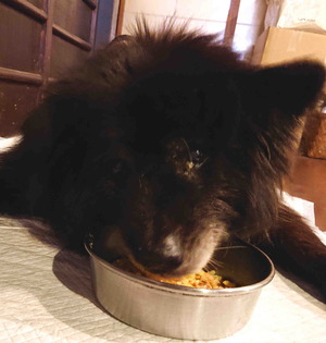 210921Ĺ����6