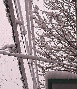 220121大雪2
