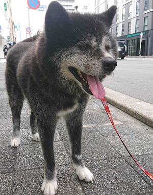 230818�Ԥ�������1