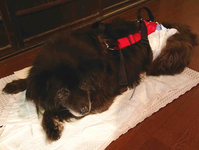 210824����ĥॵ3