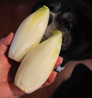 200916������