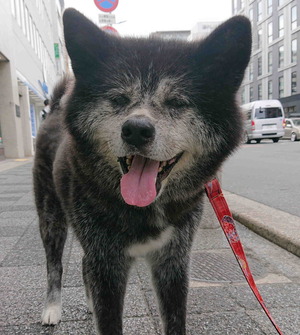 230818�Ԥ�������4