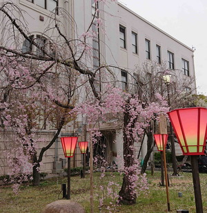 190411造幣局9