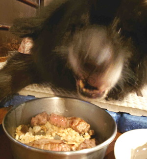 220122�ॵ12��ǯ4