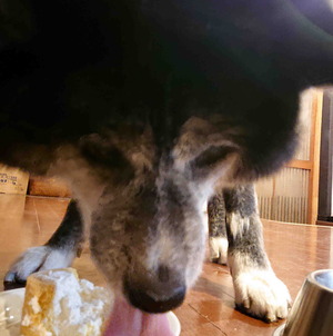 220122�ॵ12��ǯ11