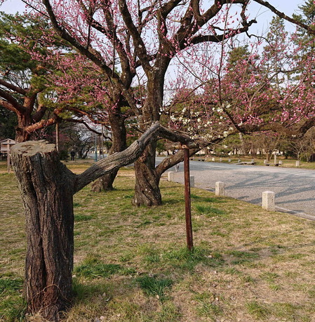 230308������6