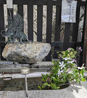 260606山科4