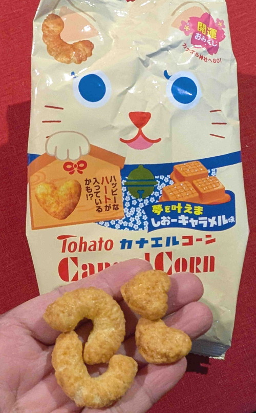 260101���ʤ��륳����