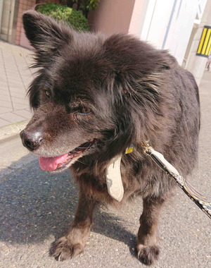 200409注射中止3