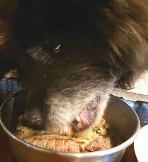 220122�ॵ12��ǯ2