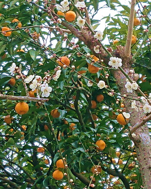 220303ŷ������5