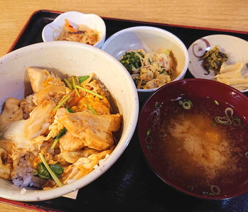 231024�Ф󤫤鲣��