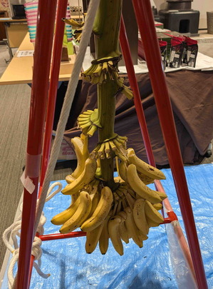 250804���å����Хʥ�1