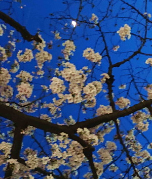 200329�Ͼ쾦Ź7