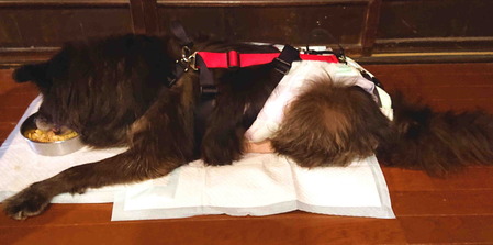 210921Ĺ����9