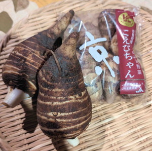 251125���Ӥ���7