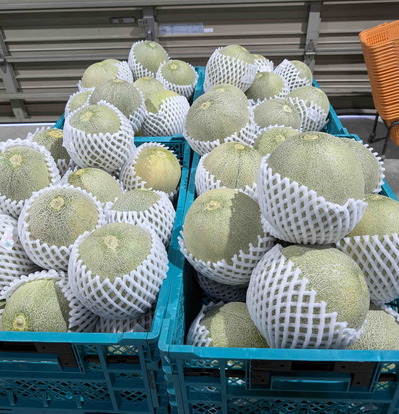 260620���ť����7
