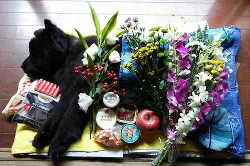 141120����1