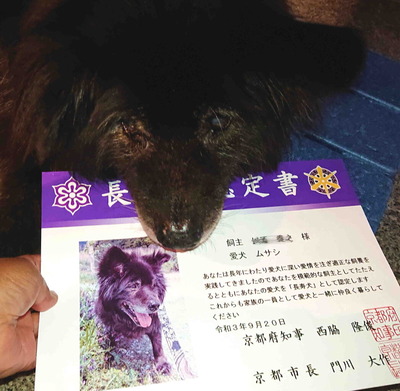 210925Ĺ����