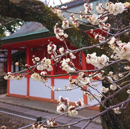 220303ŷ������4