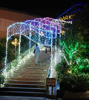 221210�ѡ���������ߥ͡������7