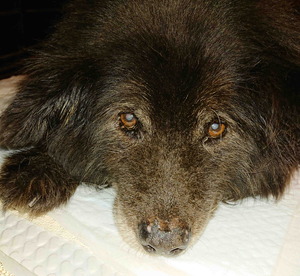 210824����ĥॵ5