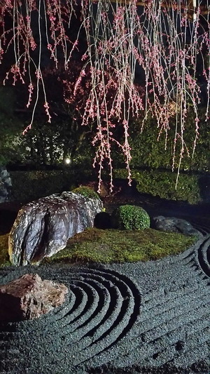 170406退蔵院3