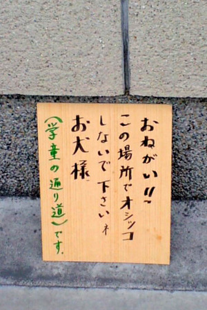 120108�����ä����ʤ��Ǥ�