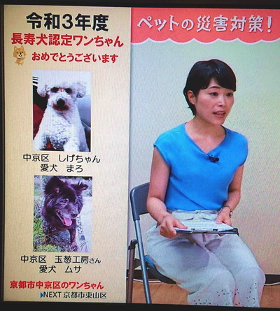 210921Ĺ����2