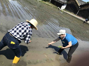 220612田植え8