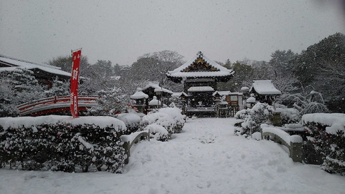 170115雪の神泉苑1